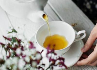 11 خاصیت اعجاب انگیز چای کوهی، عوارض و طرز تهیه آن